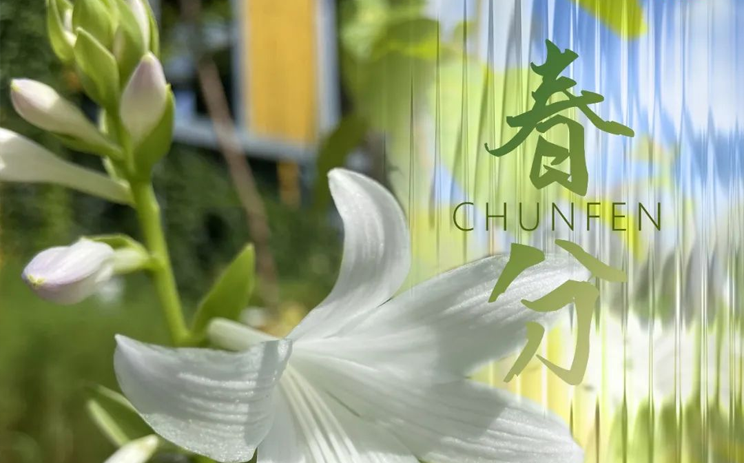 春分 | 昼夜平分，春半日暖