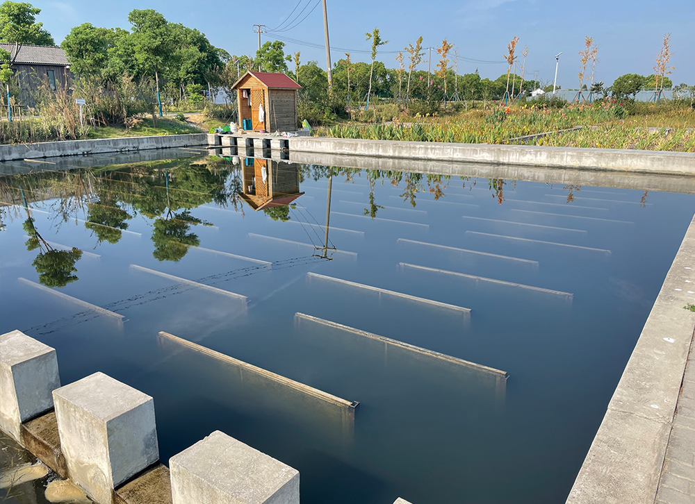 上海 • 青浦金泽水源地水产养殖尾水湿地