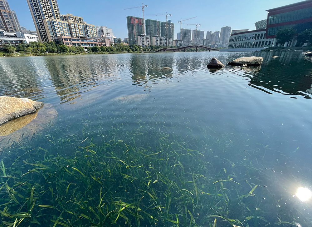 江西 • 吉安后河