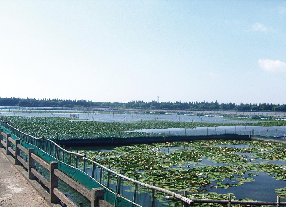 上海 • 淀山湖示范工程