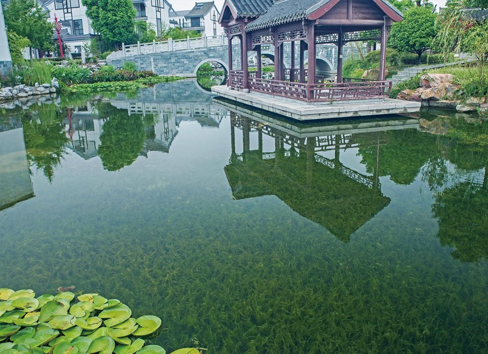 扬州 • 豪第坊大型别墅区