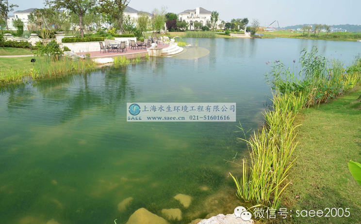 上海水生打造房产（别墅）水生态景观力作之“无锡太湖锦绣园”