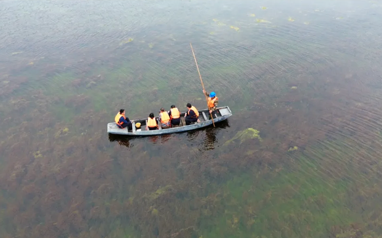 国家林草局等领导一行莅临我司洪湖沉水植物种子库保护建设项目调研考察