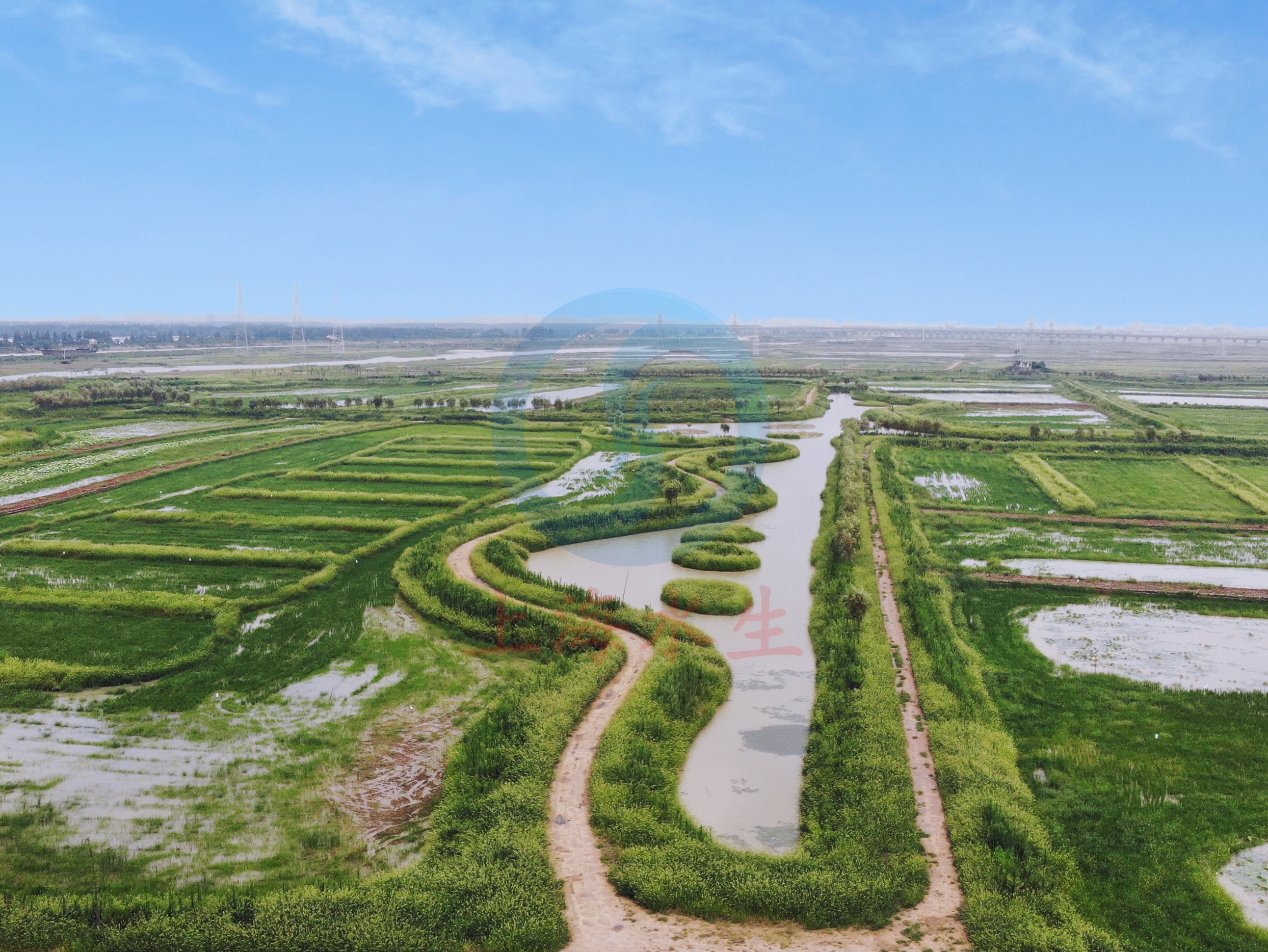 安徽 &bull; 十八联圩湿地