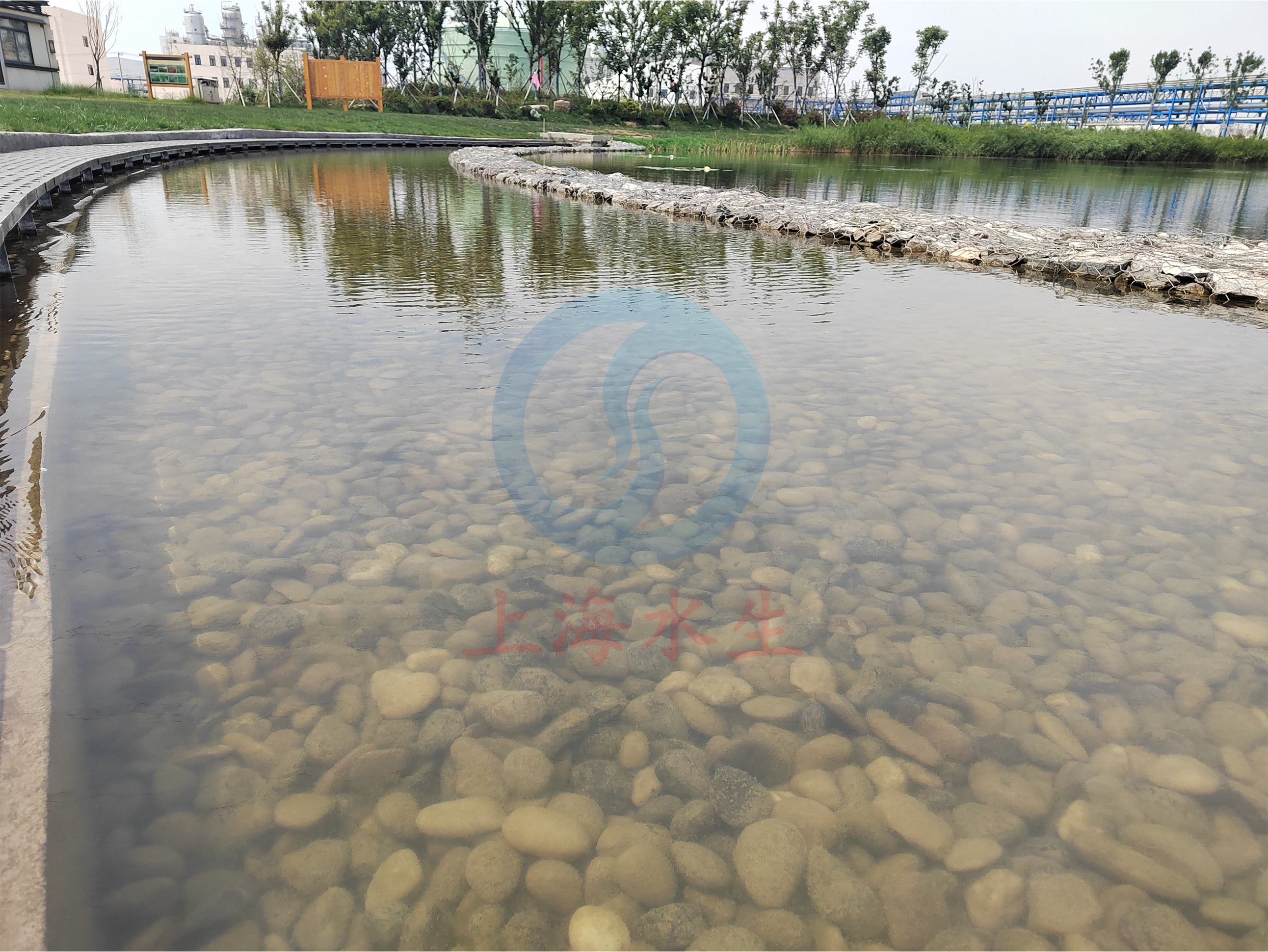 江苏 &bull; 东港污水处理厂达标尾水净化工程