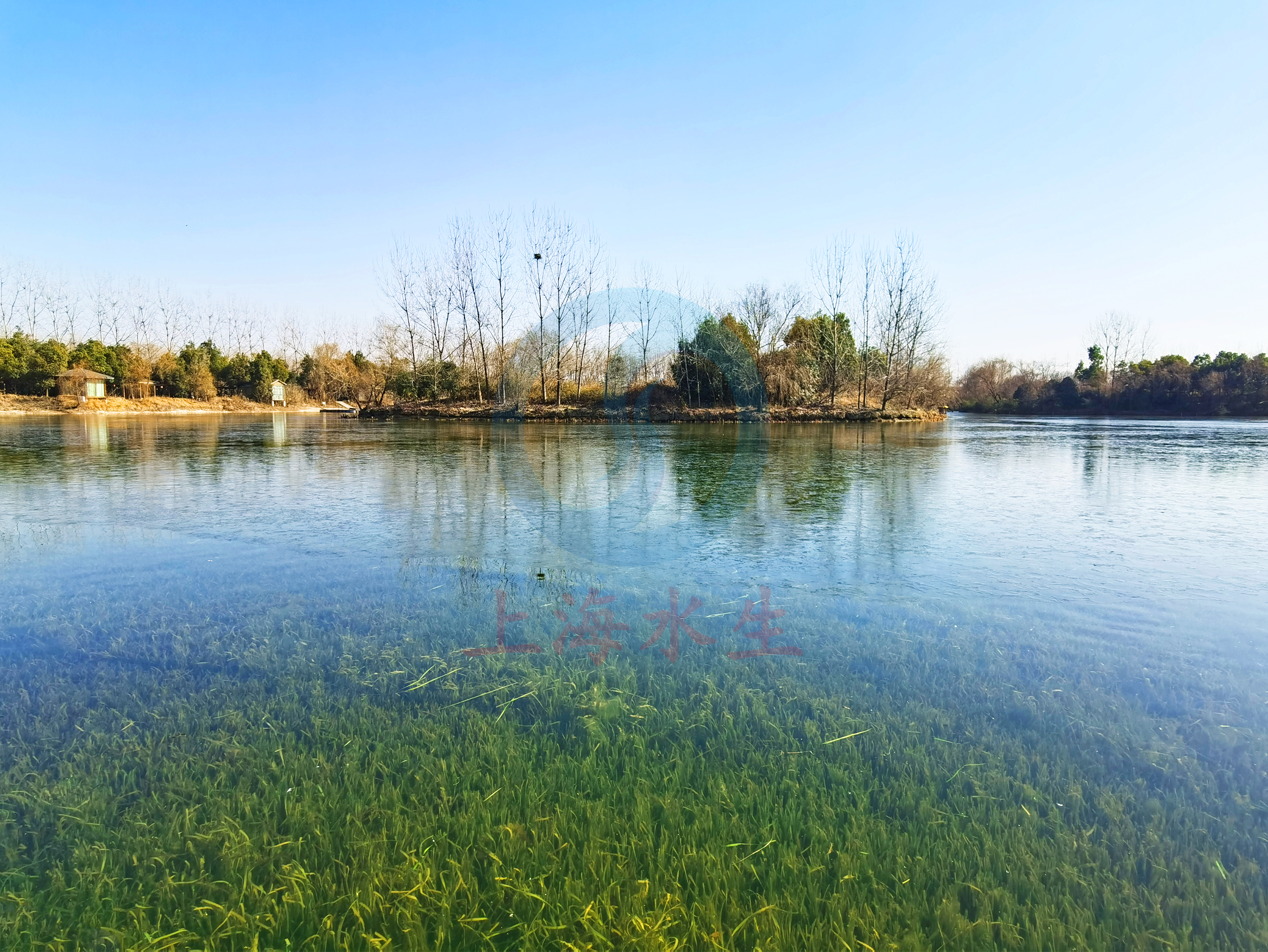 安徽 &bull; 金葡萄湖