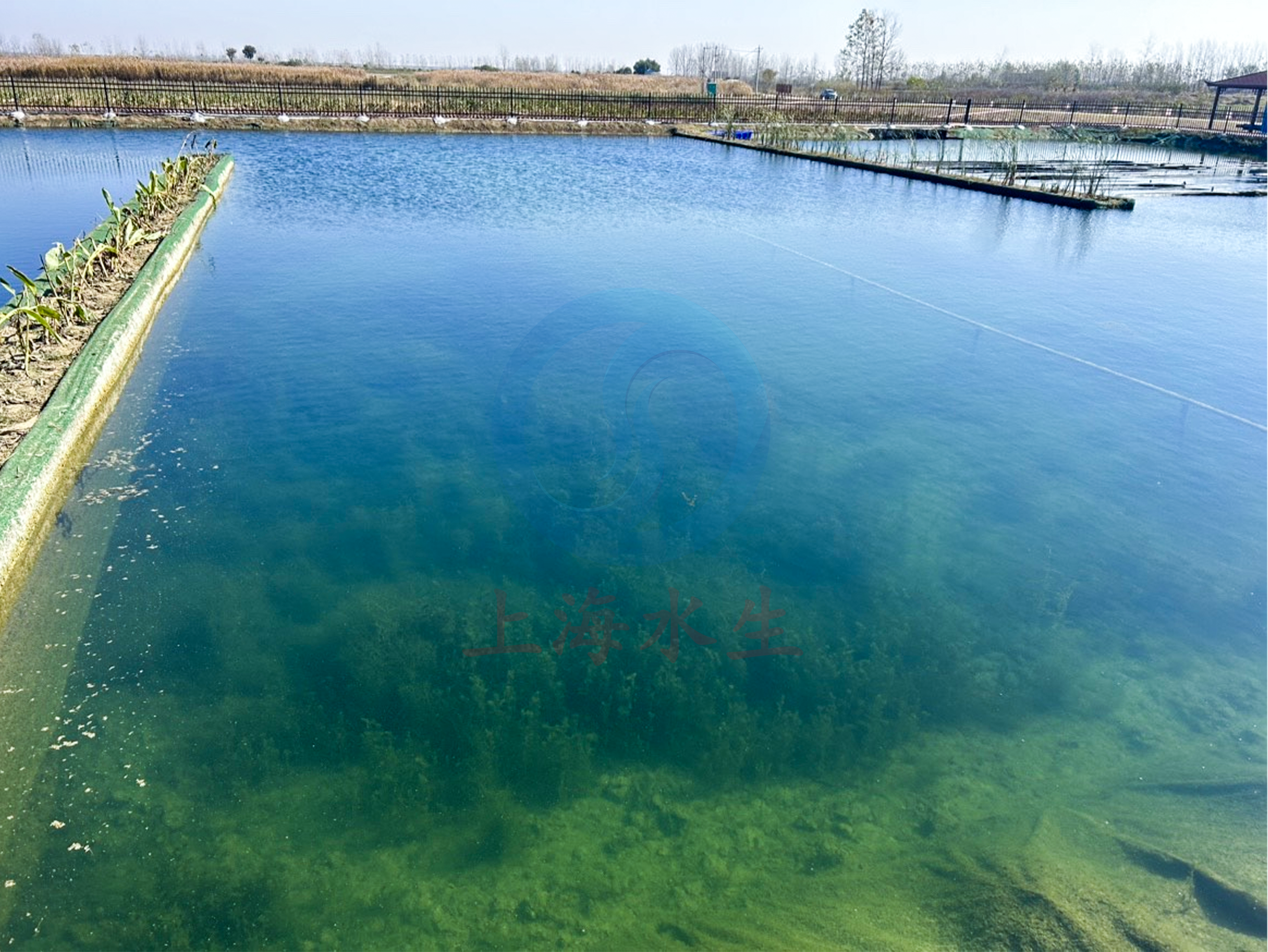 安徽 &bull; 平塘水库尾水湿地生态化改造工程