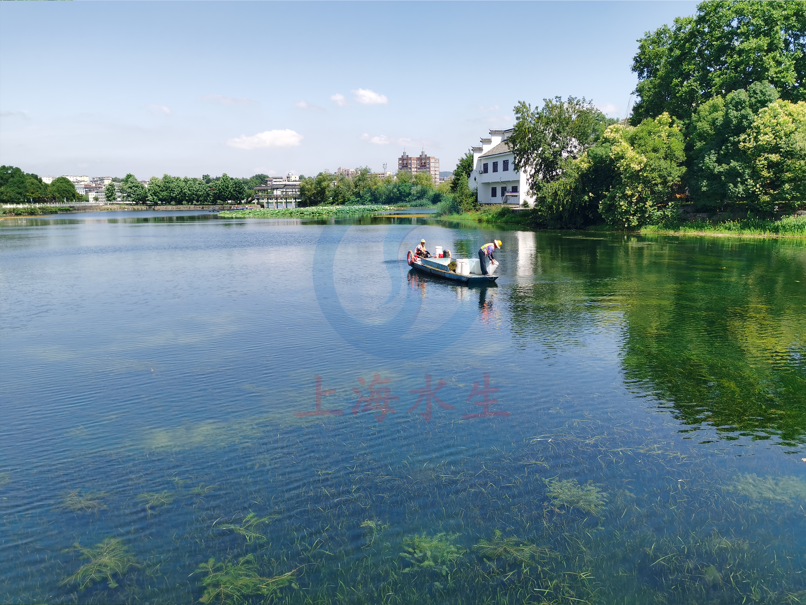 安徽 &bull; 枞阳县莲花湖水环境治理工程