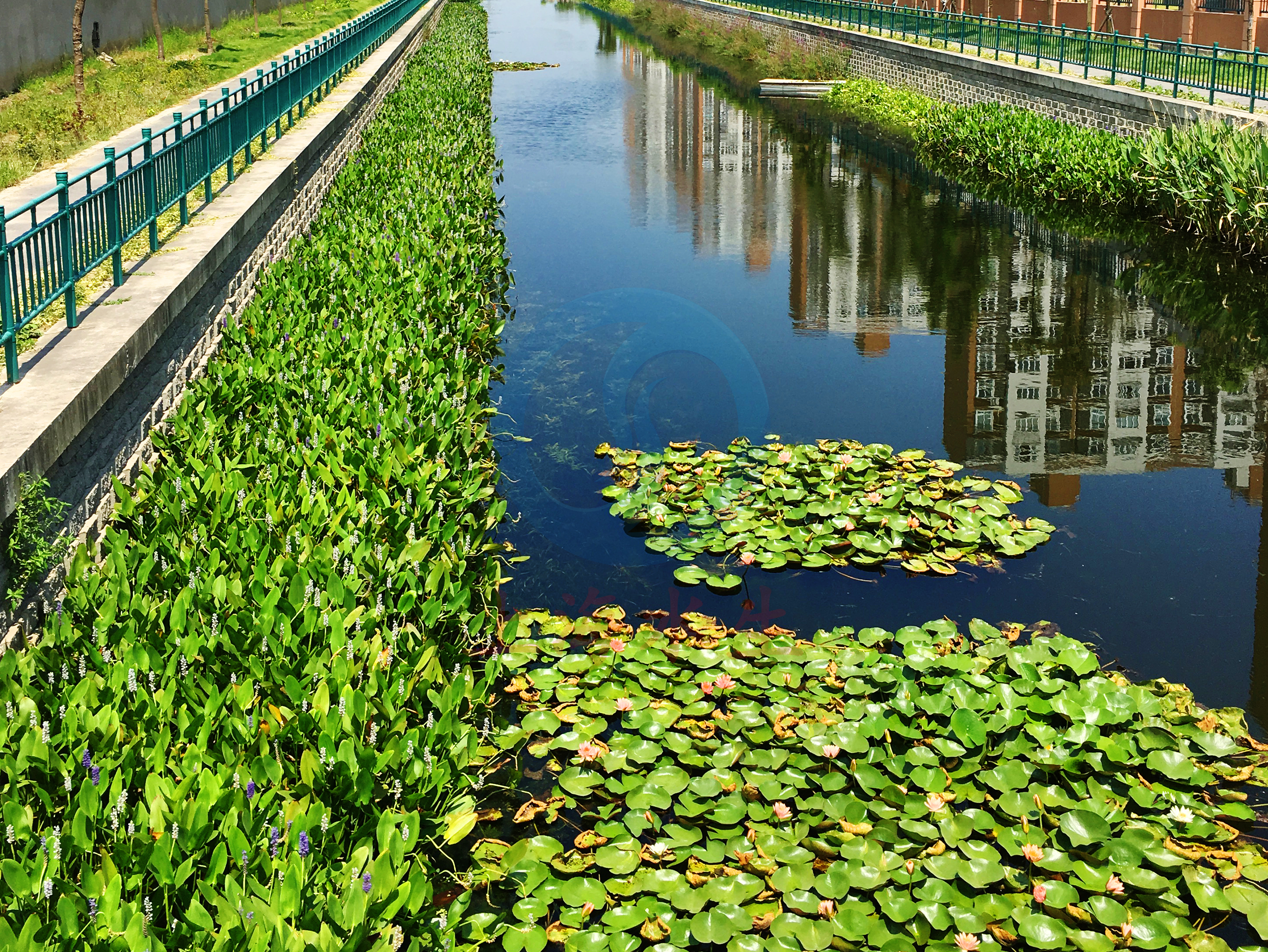 上海 &bull; 束家湾