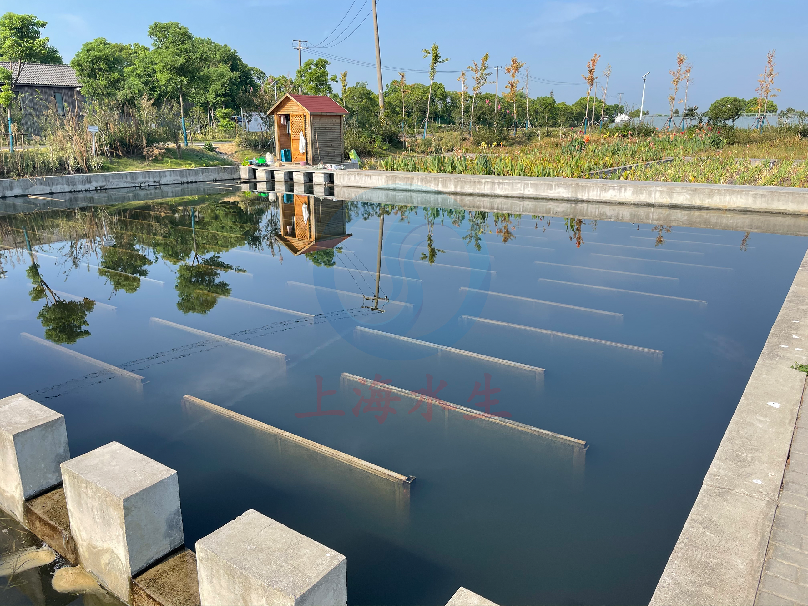 上海 &bull; 青浦金泽水源地水产养殖尾水湿地