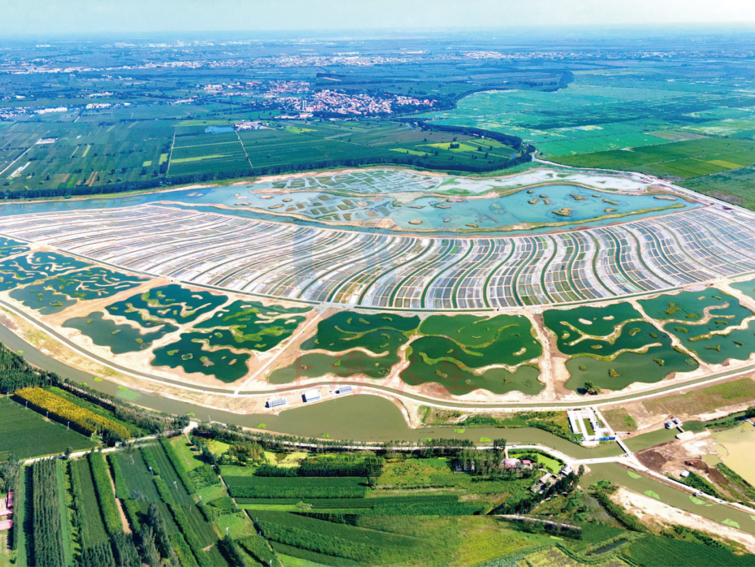 河北 &bull; 雄安新区府河河口湿地