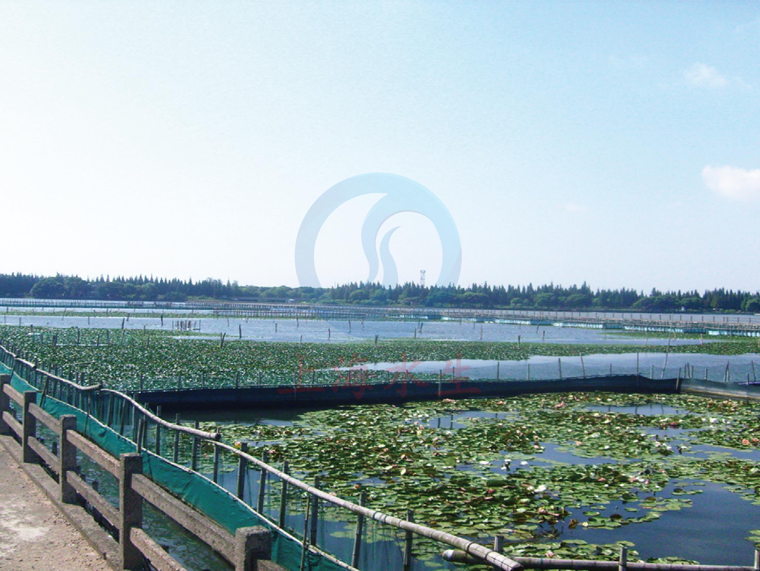 上海 &bull; 淀山湖示范工程