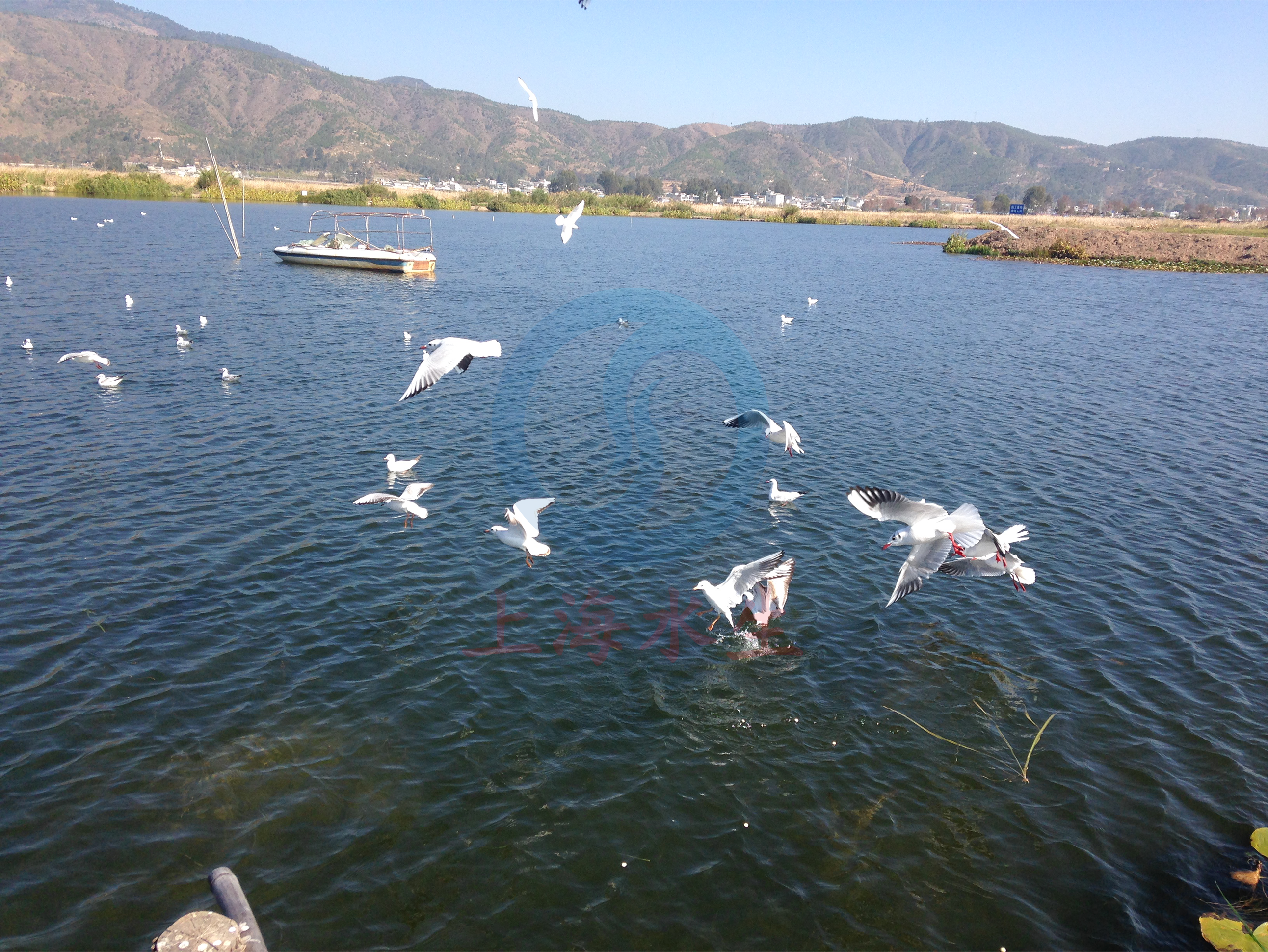 云南 &bull; 异龙湖