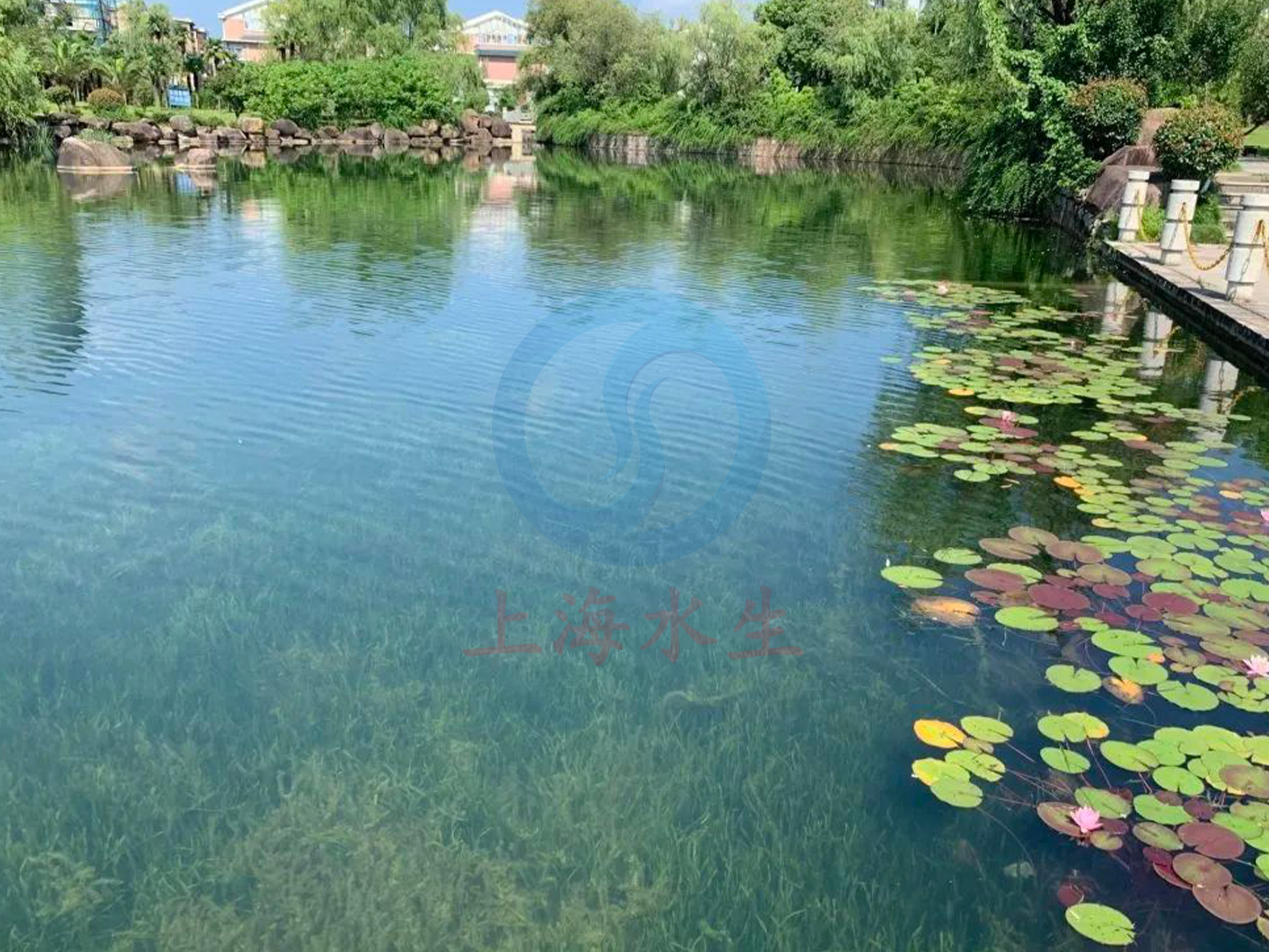 浙江 &bull; 柔石公园