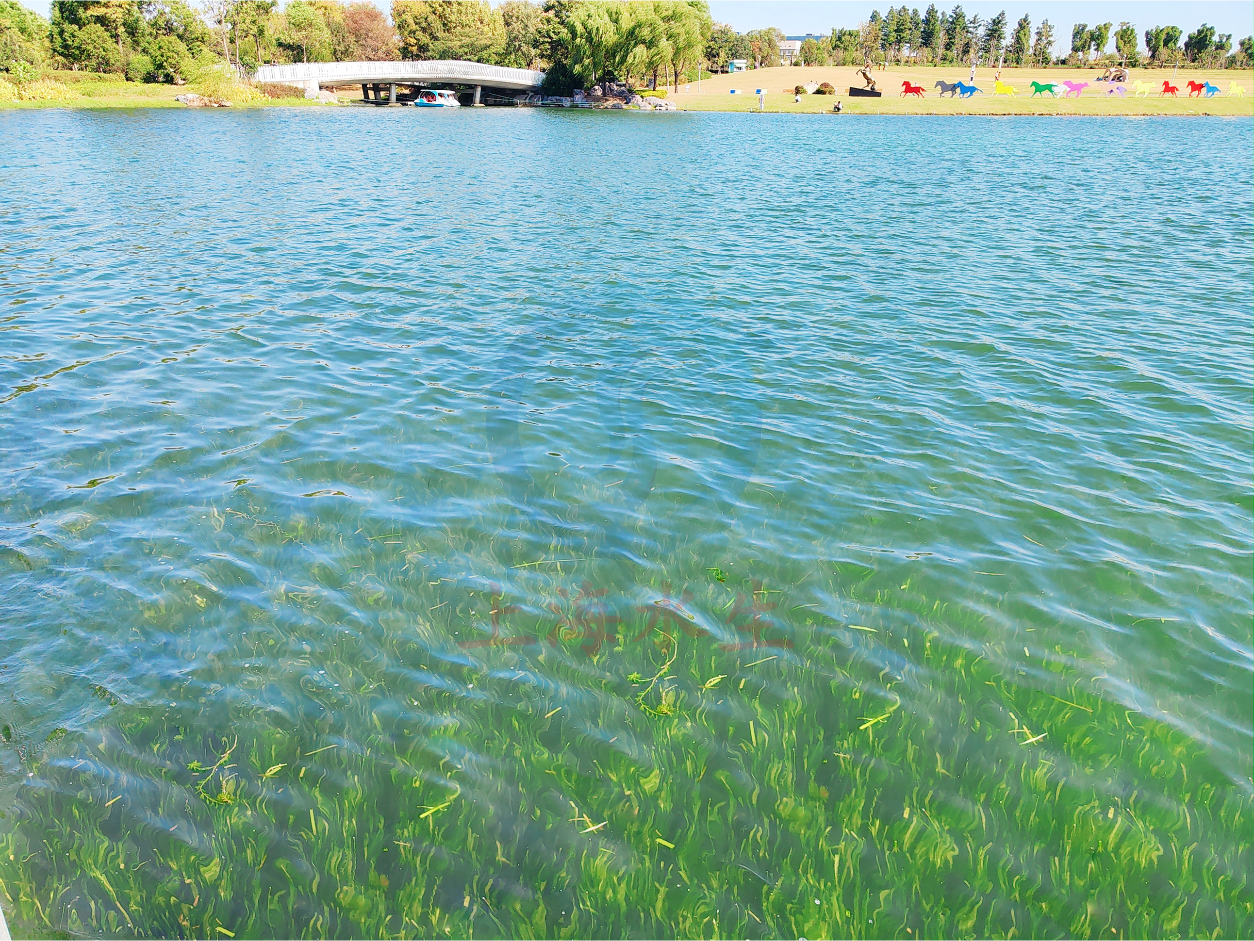 上海 &middot; 闵行文化公园