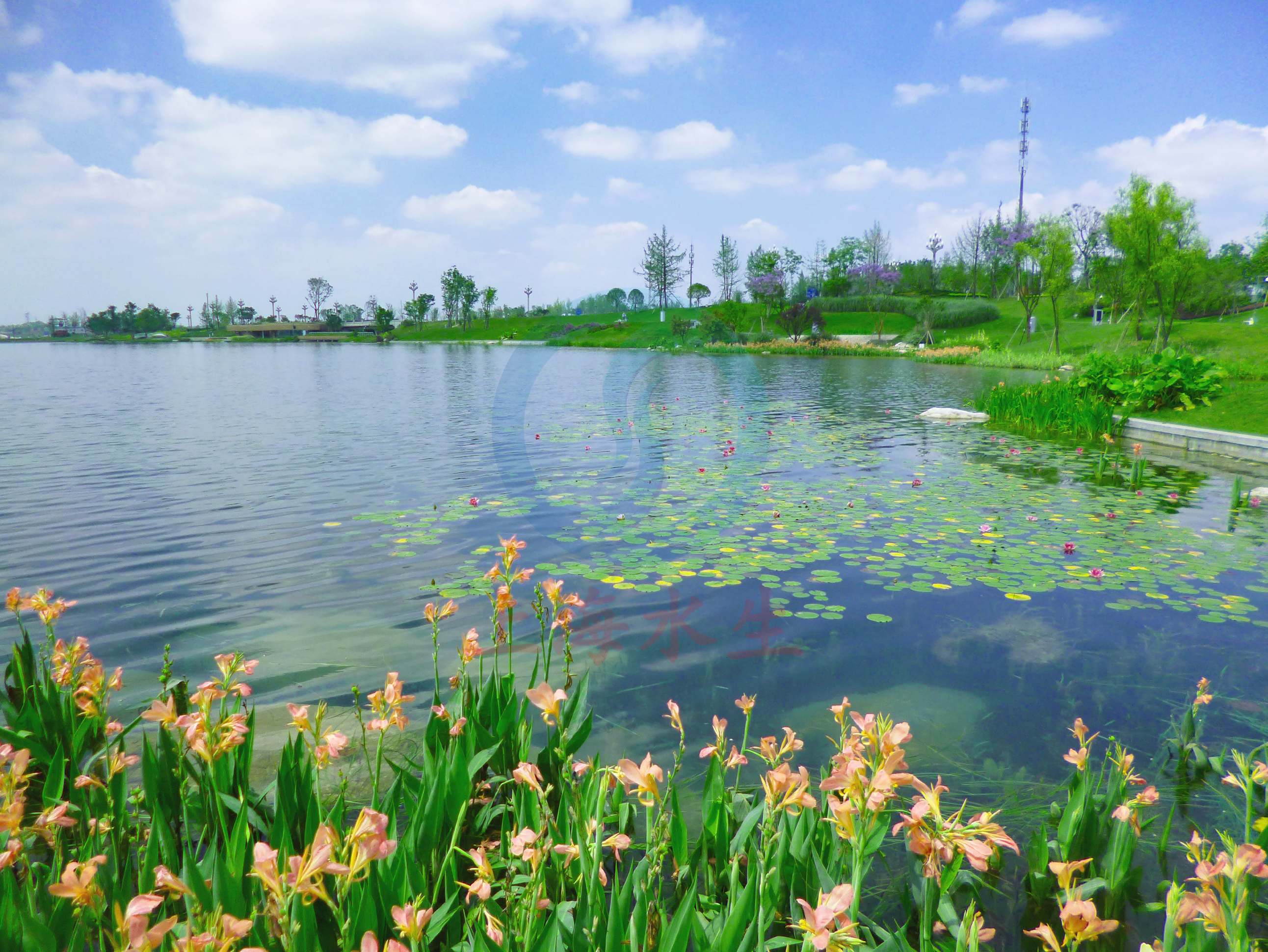 四川 &bull; 天府中央公园