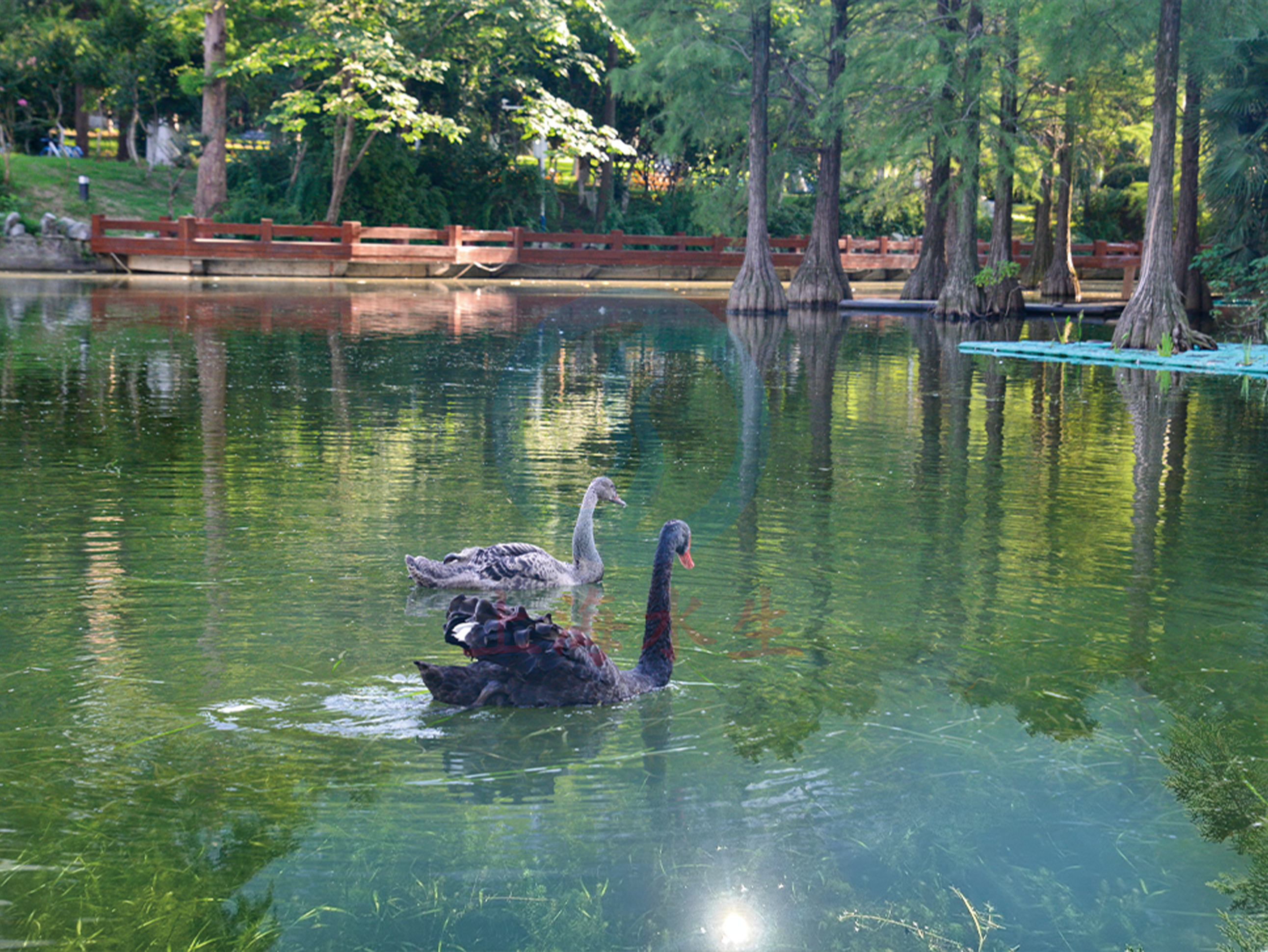 合肥 &bull; 中国科学技术大学