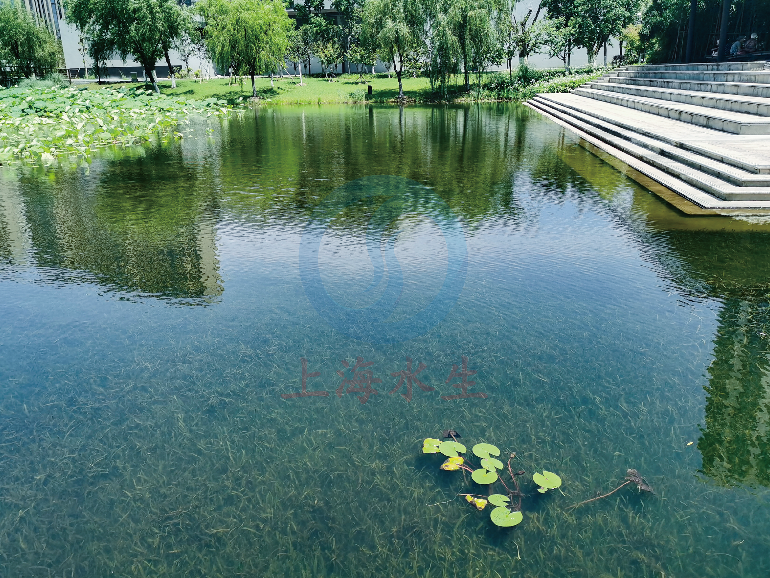 浙江 &bull; 甬新西河