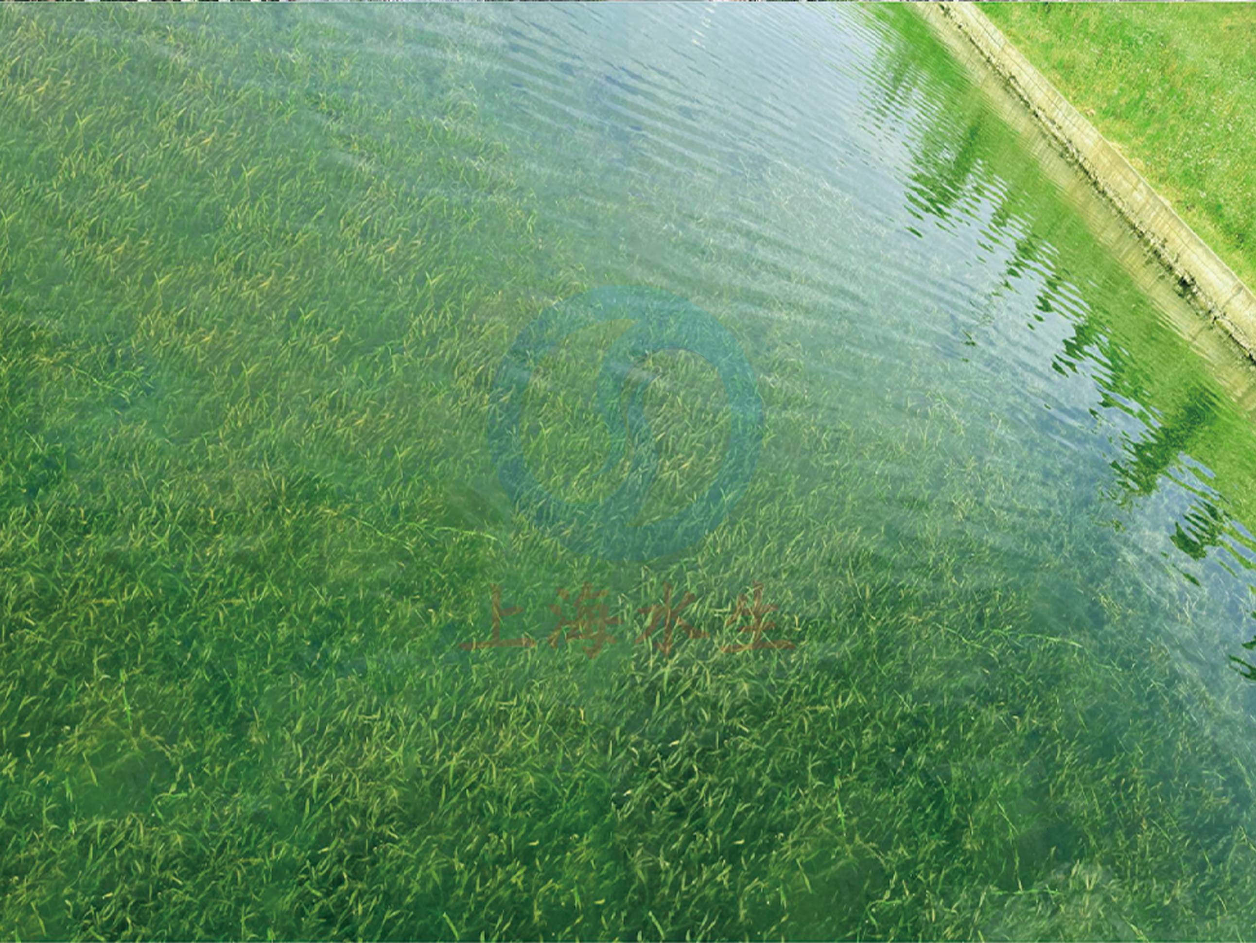 重庆 &bull; 永川临江河流域