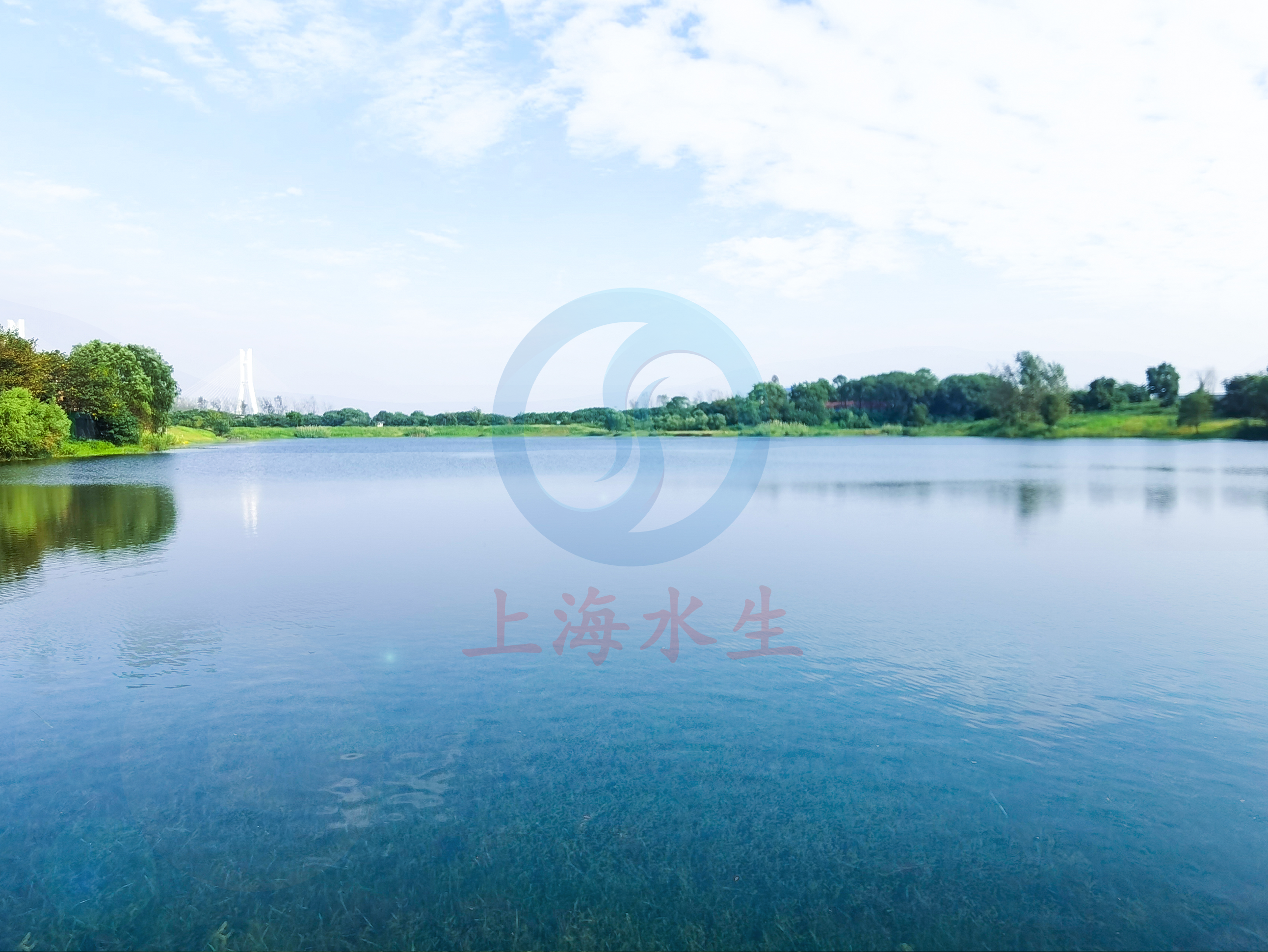 武汉 &bull; 川江池