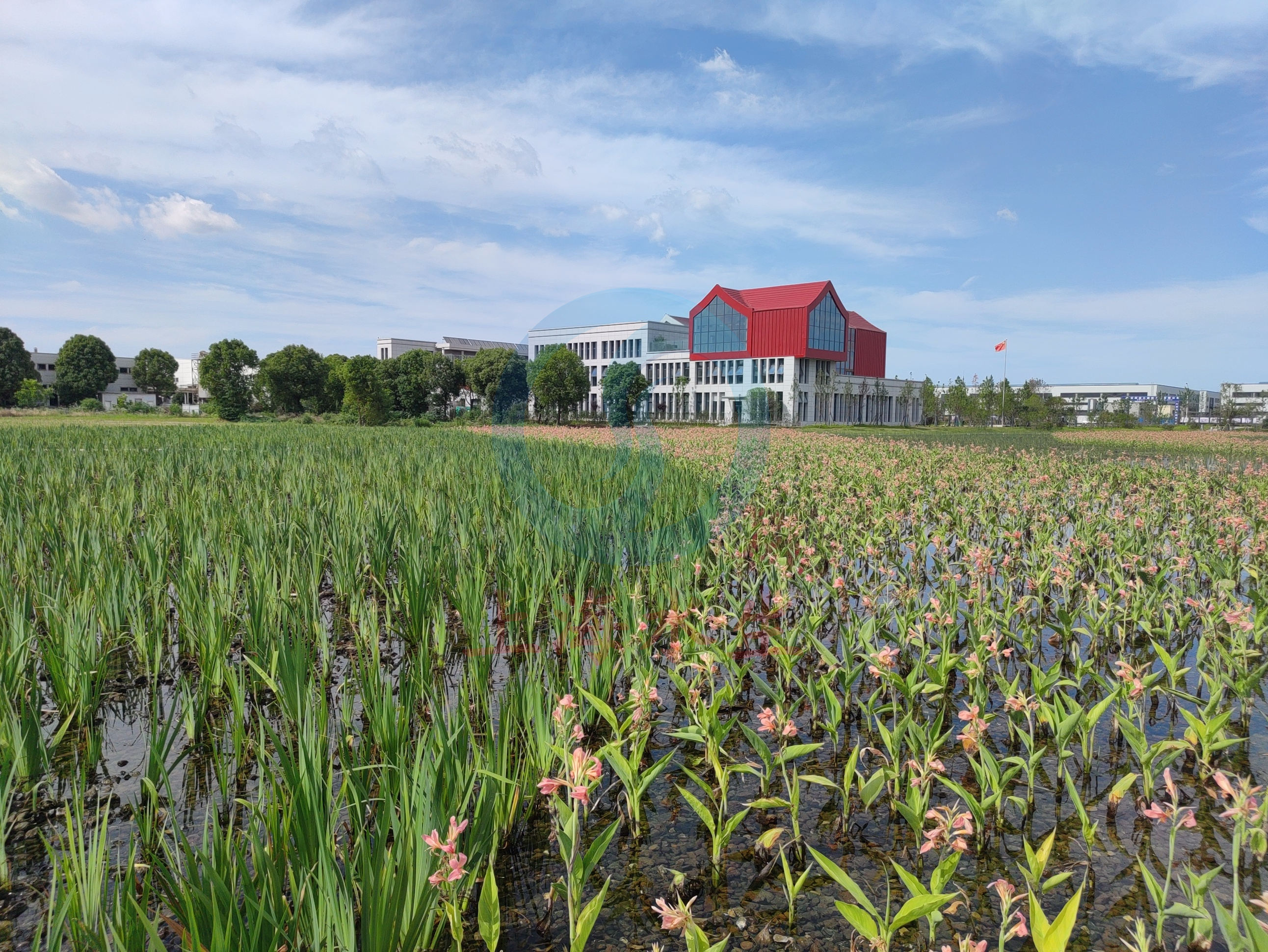 安徽 &bull; 含山县污水处理厂尾水净化工程EPCO项目