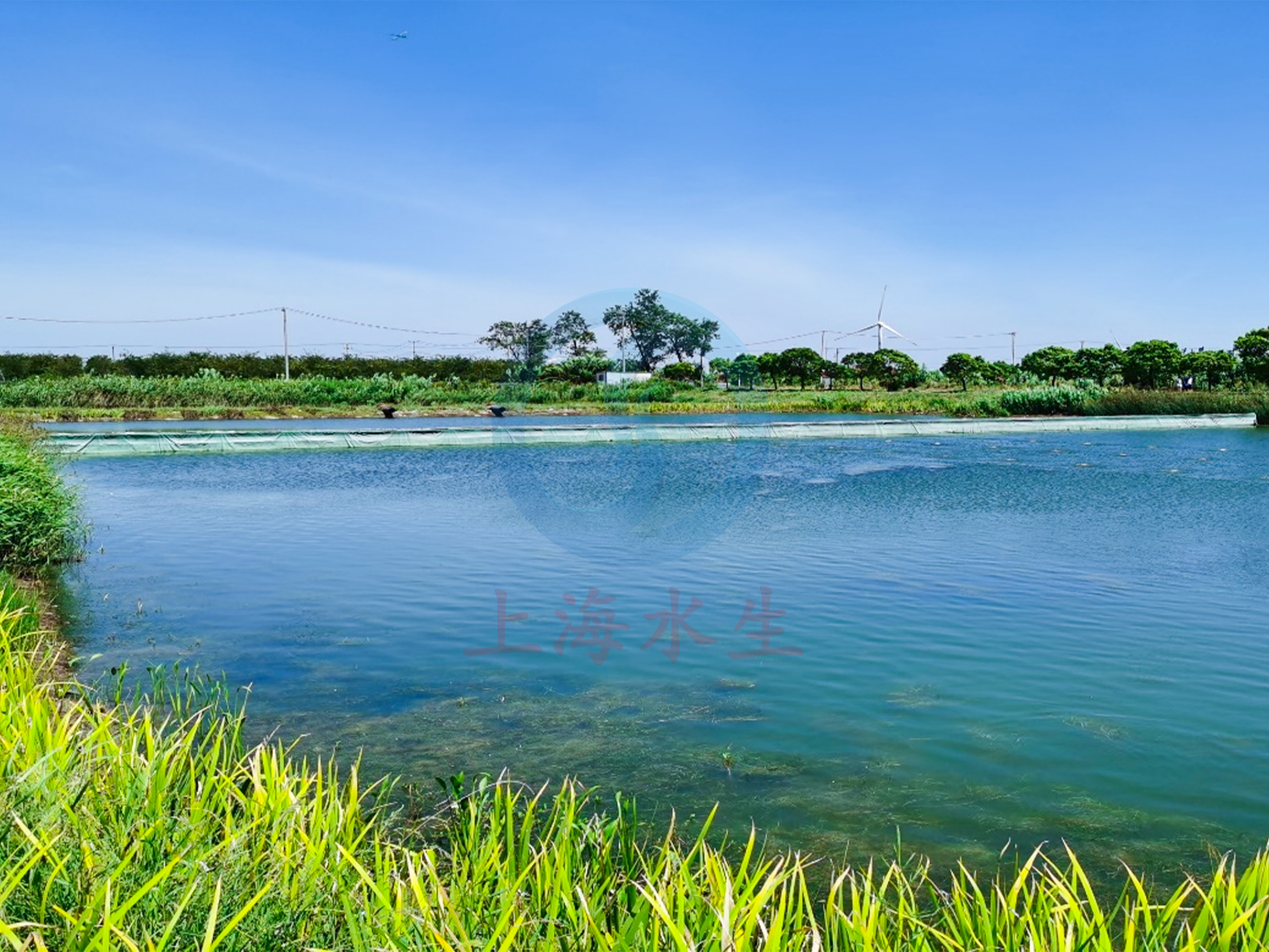 上海 &bull; 上海海洋大学滨海基地尾水治理项目