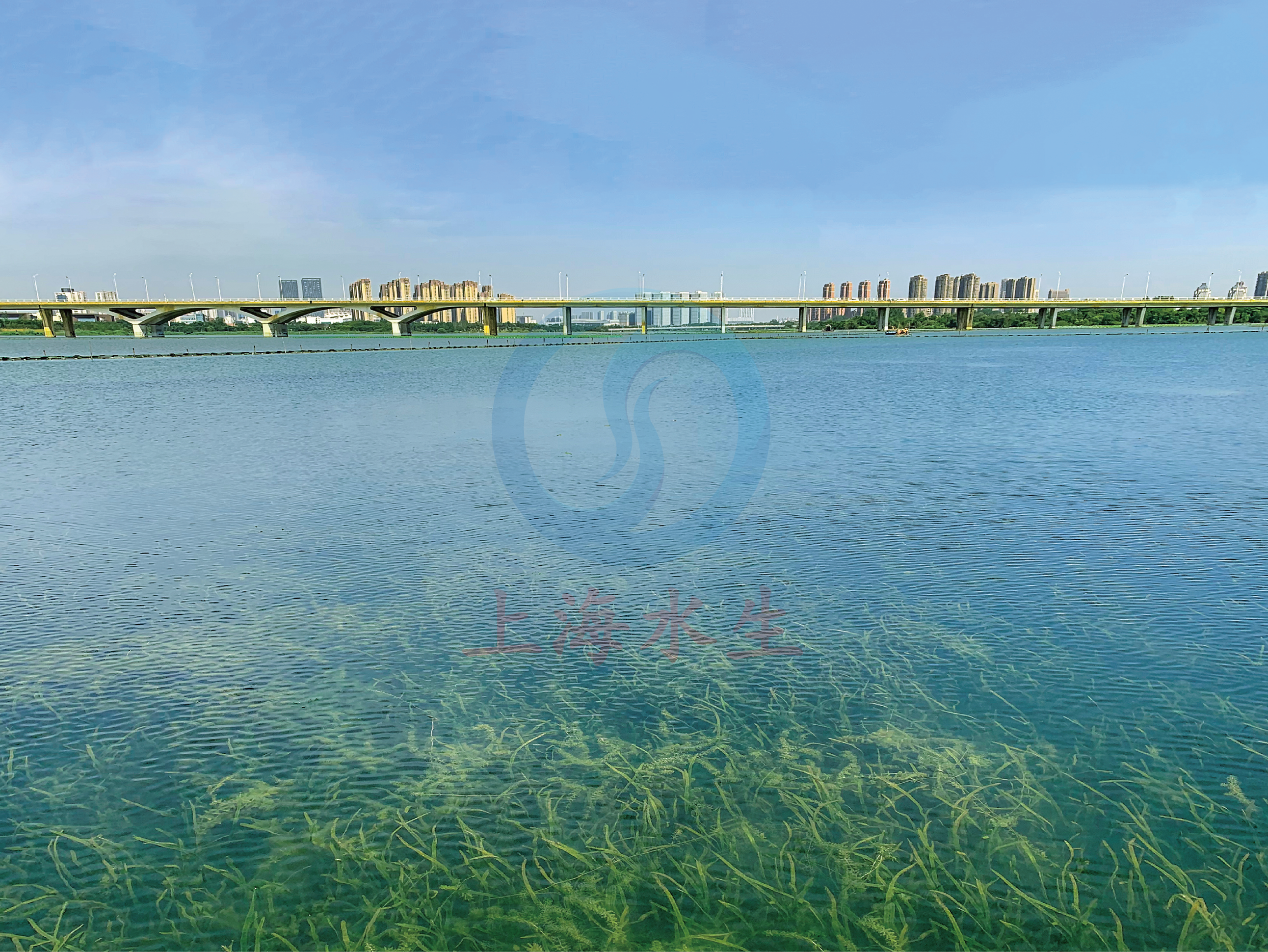 武汉 &bull; 南太子湖