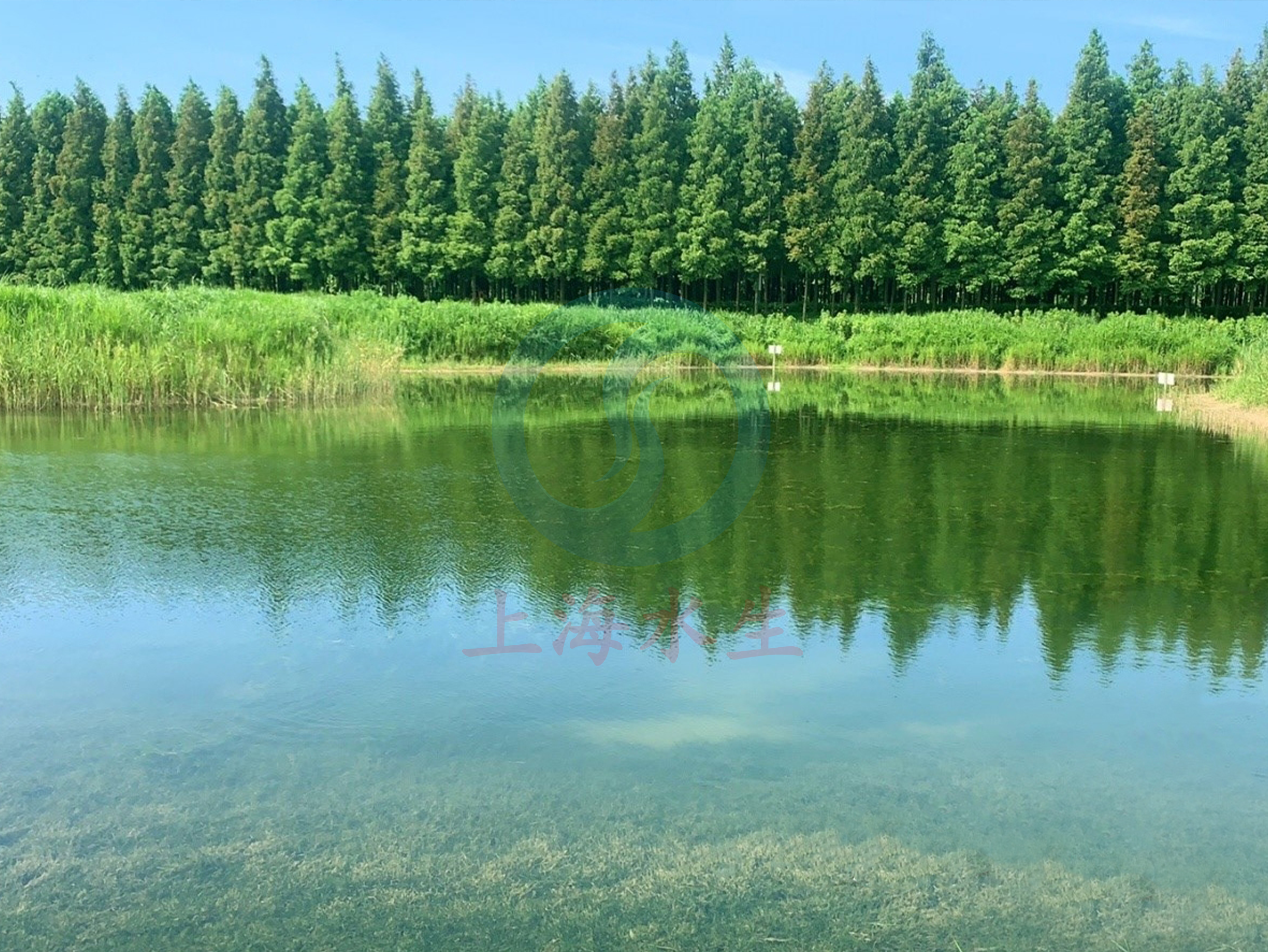 上海 &bull; 罗泾镇生态清洁小流域