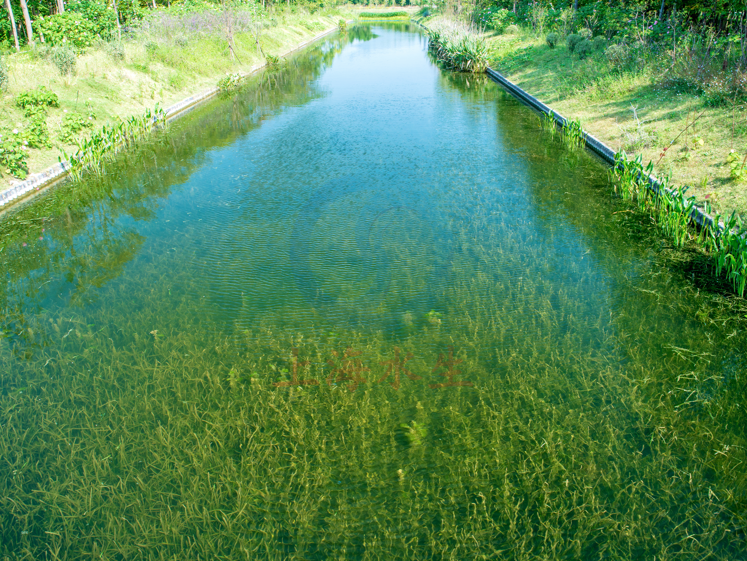 上海 &bull; 三仙沟