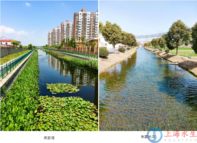 上海市宝山区河长制办公室研学活动——上海市宝山区罗泾镇生态清洁小流域(图3)