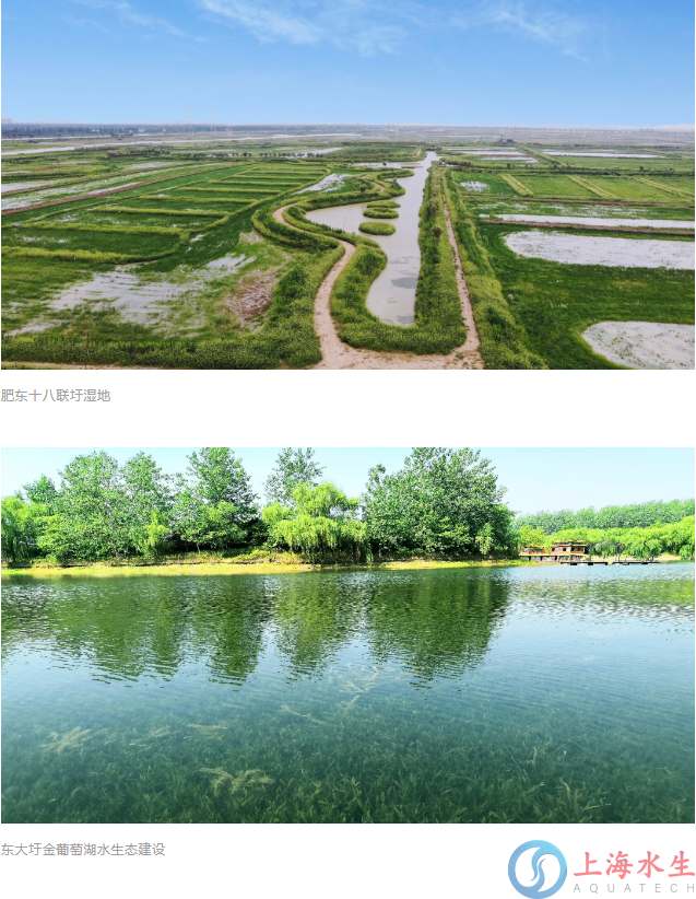 我司参与制订的《巢湖流域河湖水体沉水植被恢复技术指南（试行）》正式发布实施(图1)