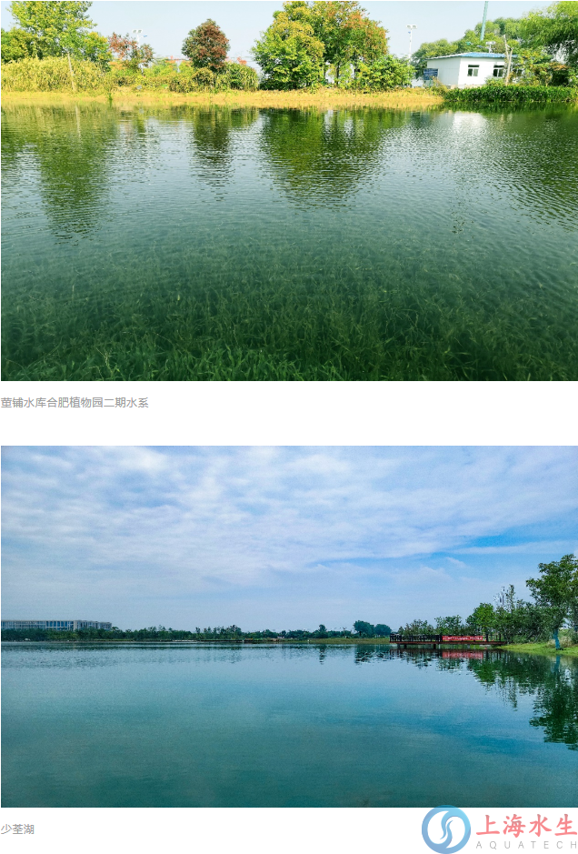 我司参与制订的《巢湖流域河湖水体沉水植被恢复技术指南（试行）》正式发布实施(图2)
