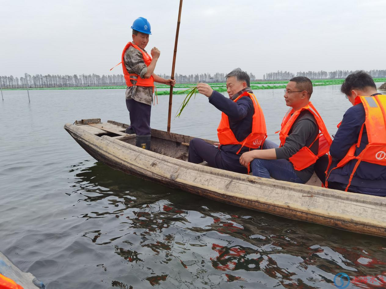 国家林草局等领导一行莅临我司洪湖沉水植物种子库保护建设项目调研考察(图3)