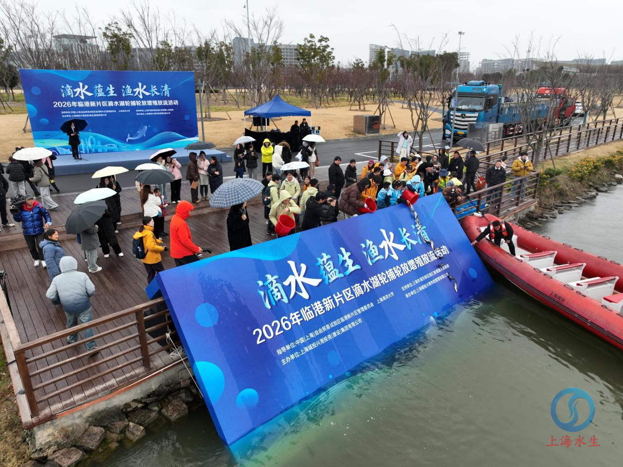 图片 7.png 图片 7.png